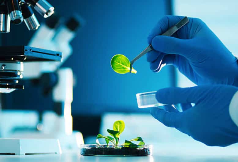 Startups mexicanas que están transformando la biotecnología