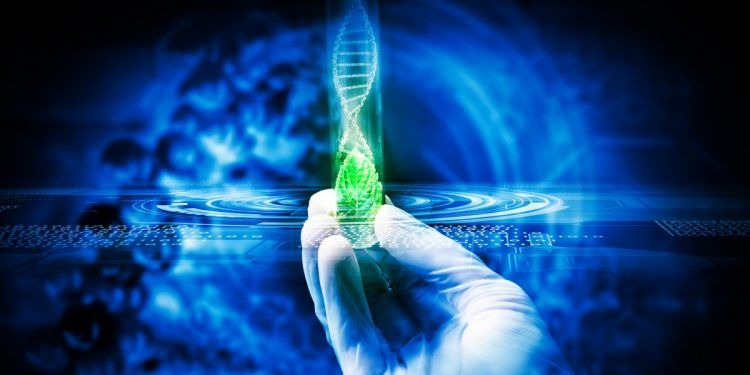 Cómo la biotecnología está revolucionando la medicina personalizada en México