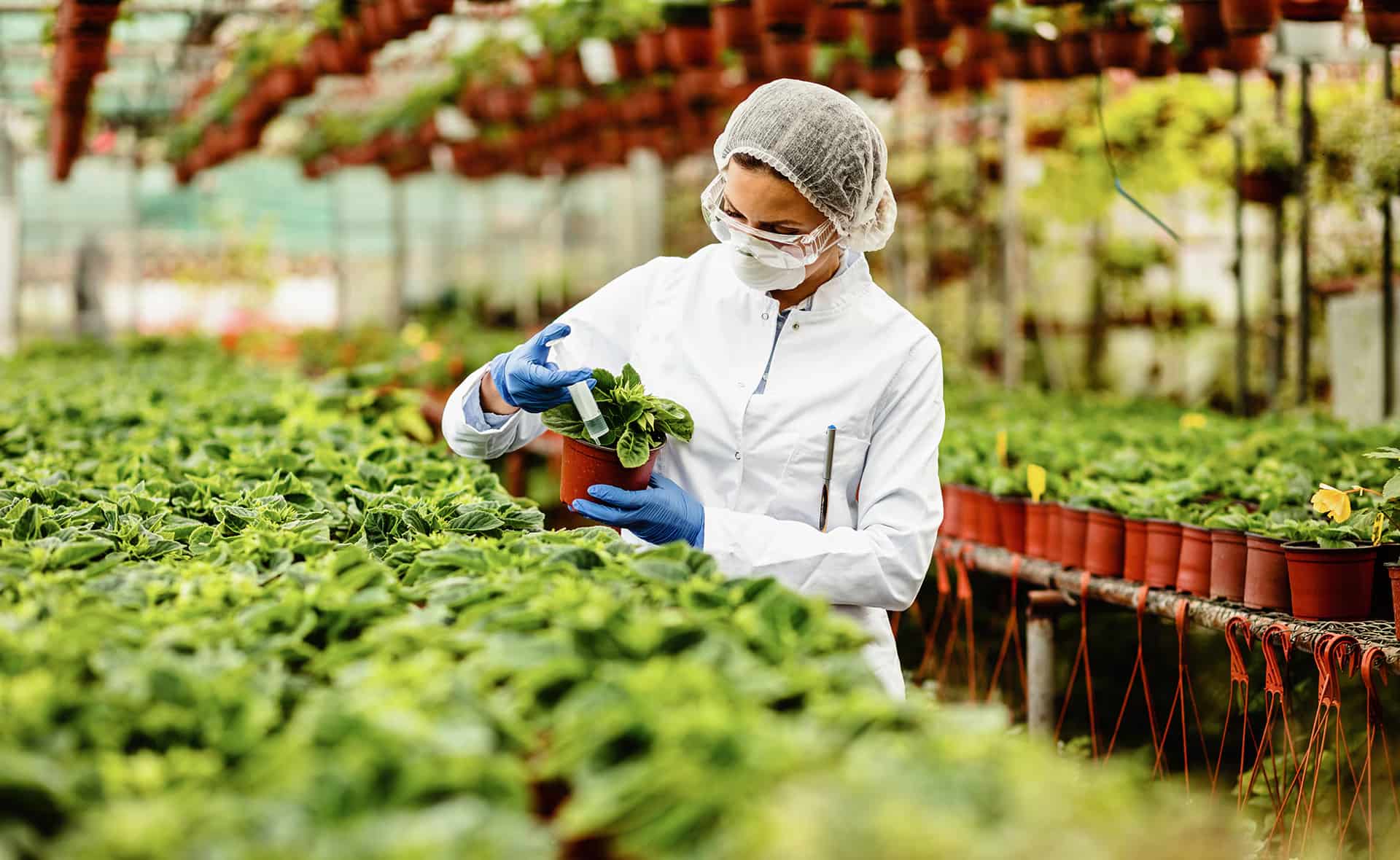 Biotecnología agrícola en México: soluciones sostenibles para el futuro del campo